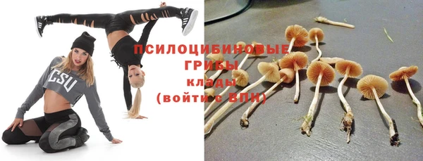 ALPHA-PVP Володарск