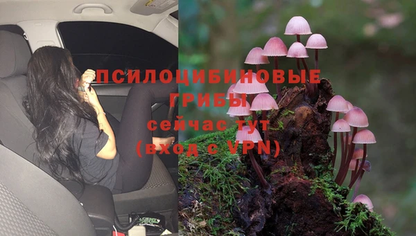 круглые Волоколамск