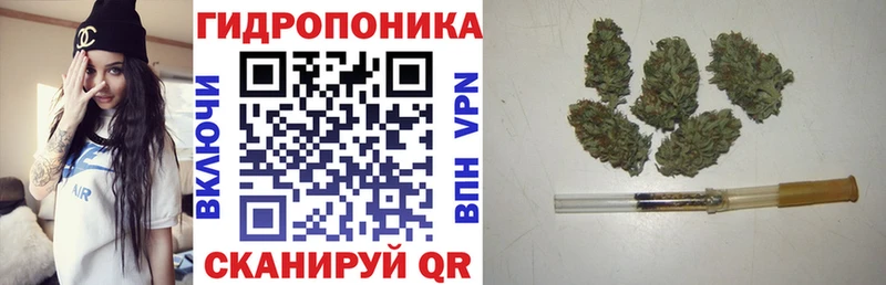 Бошки Шишки SATIVA & INDICA  Новочеркасск 